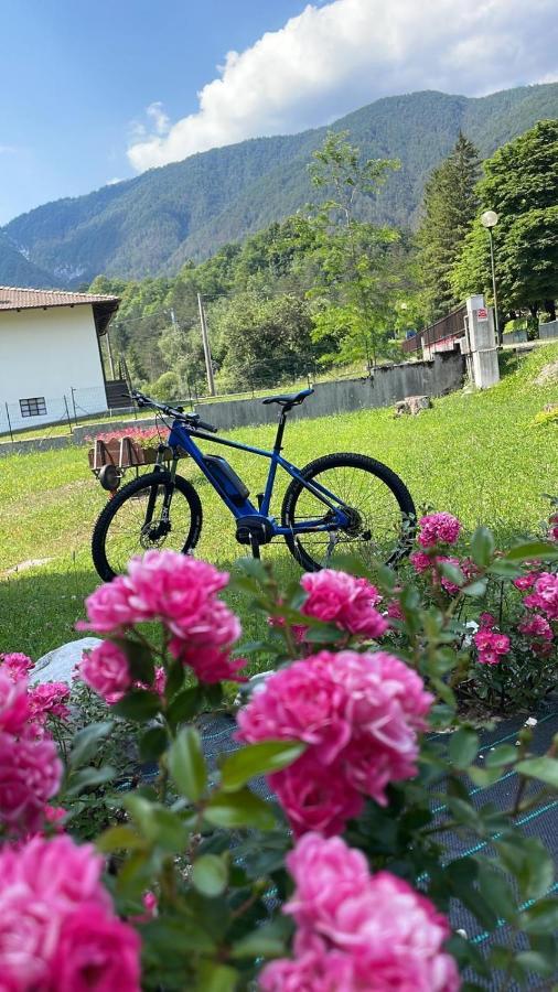 B&B Stari Mlin - Vecchio Mulino San Giorgio  Exteriör bild